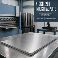 Plaque industrielle en nickel 200 personnalisable avec une pureté de 99 % de Ni et une résistance ultime de 462 MPa