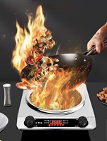 Cuisinière électrique à brûleur unique avec panneau en acier inoxydable, commande tactile, design portable, fonctions de friture et de fondue, cuisinière à induction