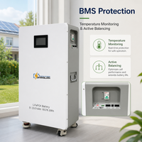 Batterie LiFePO4 16 kWh 51,2 V 314 Ah, 8000 cycles, système ESS domestique sur pied avec roulettes, supporte l'extension parallèle