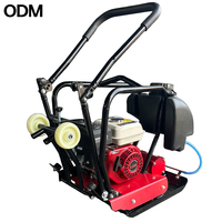 Compacteur à plaques vibrantes direct usine, essence, diesel, électrique, service ODM personnalisé disponible