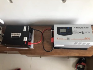 Inversor de Corriente de Onda Sinusoidal Pura de 3000W, Gran Oferta, Potencia Real, Fuera de la Red, 12V 24V 220V 230V 240V - Product Image 3