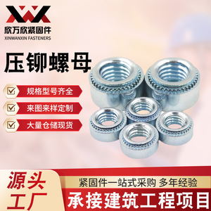 Écrous à sertir Xin Wanxin métriques PEM-SP Grade A Niveau 6.8 en acier au carbone à tête ronde zingués bleus pour la construction - Product Image 2
