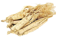 Extrait de ginseng rouge en poudre en gros, herbe traditionnelle chinoise, extrait de ginseng, complément alimentaire à base de ginseng