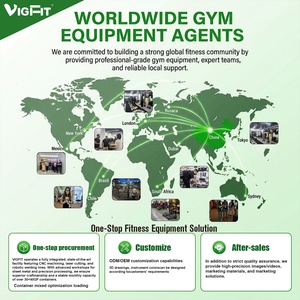 VIGFIT 2026 OEM多機能エクササイズボディストレングストレーニングビルディングマシンスポーツワークアウトフルフィットネスセットジム機器 - Product Image 5
