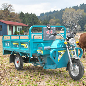 Commercio all'ingrosso WF1500DZH adulti Cargo 70 KM Open <span class=keywords><strong>3</strong></span> ruote moto motorizzato triciclo elettrico 400kg carico utile 1 passeggero - Product Image 4