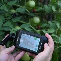 Détecteur de stress des plantes portable, mesureur de chlorophylle pour la surveillance du stress des cultures