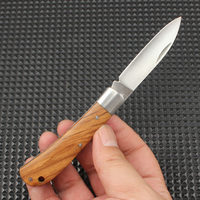 Fabrieksgroothandel 5cr13 staal fruitmes kamperen outdoor survival survival zakmes draagbaar opvouwbaar mes schaduw houten handvat