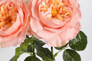 Fleur artificielle de pivoine occidentale à trois têtes de style européen pour la décoration de la maison et des mariages - Product Image 3