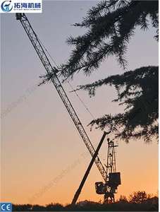 <span class=keywords><strong>Grue</strong></span> De Tour Luffing Jib <span class=keywords><strong>Tower</strong></span> <span class=keywords><strong>Grue</strong></span> Équipement de levage de machines de chantier d'ingénierie 8T - Product Image 2