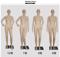 Mannequins Femmes Entiers à Prix Abordable pour la Vente en Gros, Mannequins de Vitrine