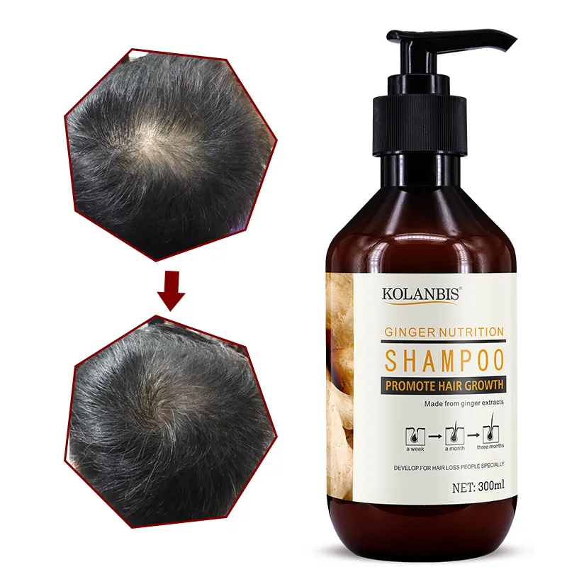 Herbal Natural Ginger Hair Growth Shampoo for Hair Anti Hair Loose Private Label Product Line