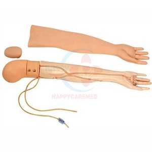 แบบจำลองแขนสำหรับฝึกเจาะเส้นเลือดดำ HC-S146 แบบเต็มรูปแบบ สำหรับฝึกการเจาะเส้นเลือดดำที่ปลายแขน - Product Image 2