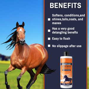 Champú y Acondicionador Ecológico para Caballos PetFit, 500 ml, para Limpieza, Nutrición y Fragancia del Pelo <span class=keywords><strong>de</strong></span> <span class=keywords><strong>Caballo</strong></span> - Product Image 2