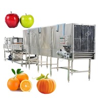 Gelgoog Fruit En Groente Wassen Sorteer En Wax Machine Papaja Papaja Verwerkingslijn Wax Sorteren