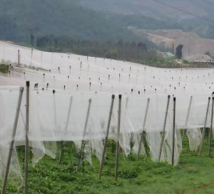 고품질 사과나무용 UV 농업용 HDPE 압출 직조 방우망 - Product Image 2