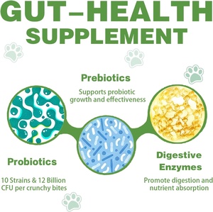 Probiotiques pour chiens OEM ODM Private Label avec prébiotiques favorisant un microbiome intestinal équilibré - Renforce la santé immunitaire - Friandises à mâcher molles - Product Image 4