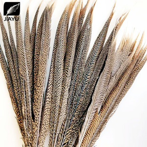 Piume di coda di fagiano anello (Ringneck) naturali all'ingrosso, lunghezza 10-80 cm (4-32 pollici), per decorazioni fai da te - Product Image 2