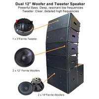 Système de sonorisation professionnel personnalisé puissant à double haut-parleur de 12 pouces, 2 voies, passif, type Line Array, et haut-parleurs actifs double 12 pouces de type Line Array