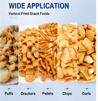 Extrudeuse à double vis pour machine de fabrication de snacks soufflés au maïs, pour chips Doritos, chips tortilla, boucles de maïs, anneaux, boules, Kurkure