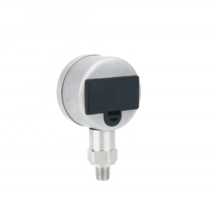 Fabricant de jauges : jauges à eau électroniques numériques intelligentes, jauges à vide haute précision - Product Image 4