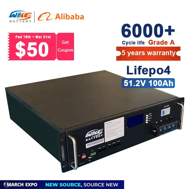 MARCH EXPO SALES PROMOTION Smart Bms 48V 51.2V 100ah Lifepo 4.8kwh 5kwh 3U 5U Case Batteries