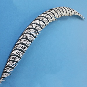 80-90Cm Bán Buôn Chất Lượng Cao Bán Hot Carnival Phụ Nữ Tự Nhiên Amherst Gà Lôi Side Tail Lông - Product Image 4