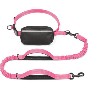 Guinzaglio Telescopico Personalizzato 2025 in Nylon per Cani, Riflettente, per Corsa all'Aperto, Senza Mani, Corda di Trazione Solida, Semplice e alla Moda - Product Image 1