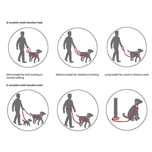 Correa para mascotas para entrenamiento de perros, correa para perros multifuncional de nailon de <span class=keywords><strong>2M</strong></span> personalizada, correa de entrenamiento suave ajustable para perros - Product Image 5