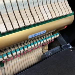 <span class=keywords><strong>Cuerdas</strong></span> de bajo extendidas <span class=keywords><strong>Yamaha</strong></span> U3M de 131 cm, clavijas de afinación de tungsteno - Product Image 5