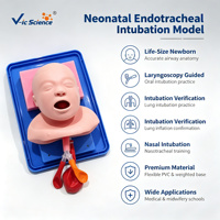 Maniquí de Entrenamiento para Intubación Neonatal, Tamaño Real, PVC, Vía Aérea Oral y Nasal, para Educación en Reanimación de Recién Nacidos, con Certificaciones CE, ISO, ROHS y CNAS