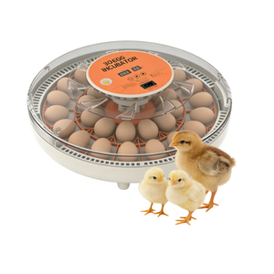 Incubateur automatique pour 30 œufs, contrôle numérique de la température et de <span class=keywords><strong>l</strong></span>'humidité, machine d'éclosion des œufs de volaille pour poulets, canards, cailles - Product Image 1