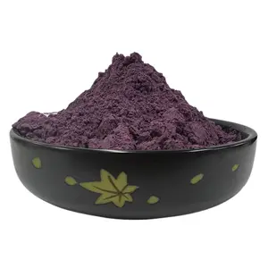 Organic Vat Pigment Violet 23 for Makeup Products 19 Synthetic Iron Oxide Purple Powder 29 Concrete Cement Paint Construction