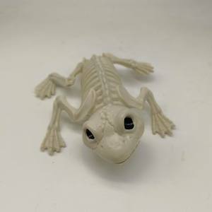 Accesorios de Broma para Halloween - <span class=keywords><strong>Esqueleto</strong></span> de Rana 3D de Plástico Impermeable Accesorios para Exteriores - <span class=keywords><strong>Esqueleto</strong></span> de Animal para Bromas y Diversión - Product Image 3
