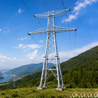 Solution de développement de corridors énergétiques à très haute tension et à longue portée : Tour électrique, Tour en acier cornière, Tour en acier tubulaire