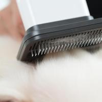 Nouveaux produits de la saison, machine de soins pour animaux de compagnie intégrée par soufflage et aspiration haute puissance avec accessoires complets
