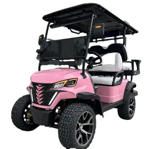 new design electric golf cart fashion style with 10 inch LCD screen to be controlled by cell phone high speed