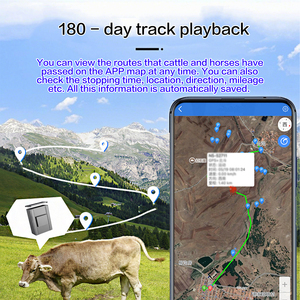 4G LTE GPS GLONASS GPRS ปลอกคอปศุสัตว์แบบเรียลไทม์กันน้ำได้สำหรับพีซีรองรับการจัดการฟาร์มปศุสัตว์อัจฉริยะ ODM - Product Image 6