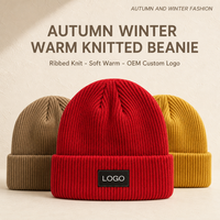 Bonnet tricoté personnalisé, côtelé, à revers, chaud, extensible, taille unique, hiver, automne, extérieur, décontracté, unisexe, OEM, vente en gros, faible MOQ