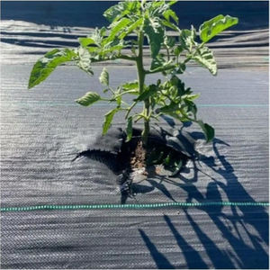 غطاء زراعي قابل للتنفس من مادة البولي بروبيلين غير منسوج قماش زراعي بستان غير منسوج للحدائق - Product Image 2