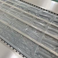 Machine d'emballage sous vide à film étirable en rouleau continu entièrement automatique Elemotion pour la dinde, le saumon, le bœuf, le fromage et le beurre
