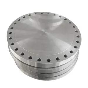 ANSI 304 304L 316 316L Stainless Steel Forged RF Rasied Face Blind Flange