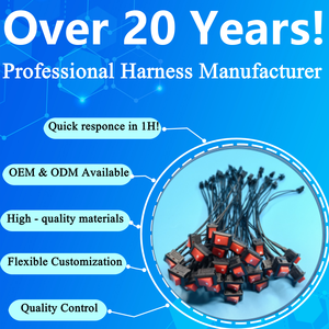 Özel kablo demeti KCD11 Rocker anahtarı <span class=keywords><strong>2</strong></span> Pin 3A 250V JST konektörü SMH AVSS kablosu kapalı anahtarı ile - Product Image 6