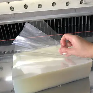 Temizle PETG levha termoform Blister gıda sınıfı paket plastik FILM darbe vakum şekillendirme APET PET levha