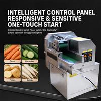 Industriële roestvrijstalen elektrische groentesnijder voor aardappelchips, wortel, banaan, mango en verse producten