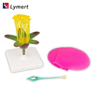 Nuovo arrivo 3d modello educativo fiore di pesco per <span class=keywords><strong>botanica</strong></span> - Product Image 3