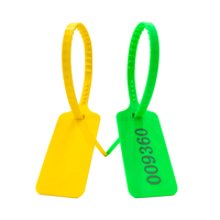 HS-PS 6004 Scellé de sécurité jetable en plastique PP+PE de haute qualité 300mm Couleurs personnalisables Emballage personnalisable Étiquette pour vêtements
