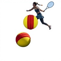 Pelotas de Tenis de Alta Visibilidad con Marcadores de Franja Roja para Ejercicios de Seguimiento Visual, Niños Principiantes, Venta al Por Mayor