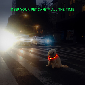 <span class=keywords><strong>Collar</strong></span> de Perro Personalizado de Silicona Sólida Suave, Recargable, Colorido, con Luz Brillante y LED Intermitente de Advertencia de Seguridad Nocturna - Product Image 6