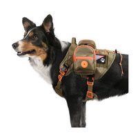 Nouveaux produits pour animaux de compagnie 2025 réglable formation gilet pour animaux de compagnie Combat tactique Service chien harnais avec patchs pour animaux de compagnie