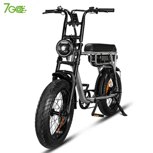 Abd ab İngiltere CA depo ucuz e-bisiklet 750w1000w hidrolik fren 20 inç yağ lastik elektrikli şehir bisiklet hızlı teslimat elektrikli bisiklet
